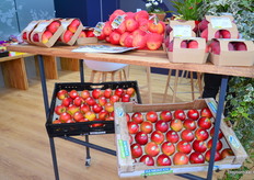 Friut van de Bodemsee